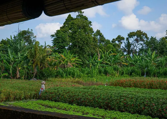 Oemah Joglo Bali Villa Ubud